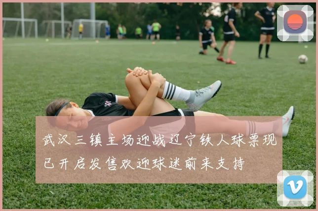 武汉三镇主场迎战辽宁铁人球票现已开启发售欢迎球迷前来支持
