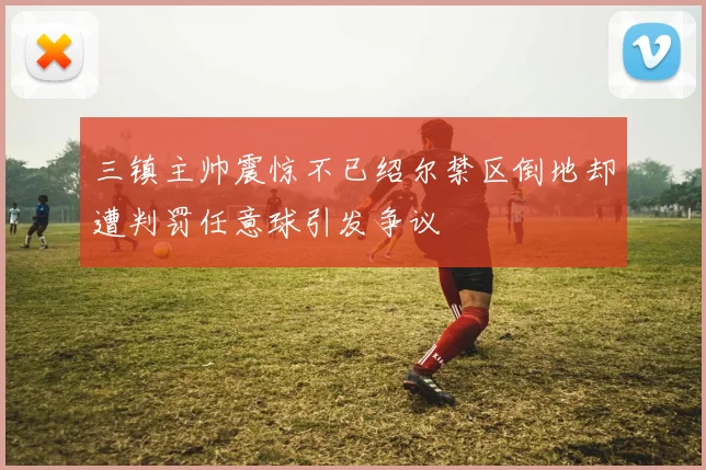 三镇主帅震惊不已绍尔禁区倒地却遭判罚任意球引发争议